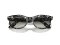 Ray-Ban Wayfarer Oval Solbriller RB 2242 133371