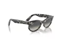 Ray-Ban Wayfarer Oval Solbriller RB 2242 133371