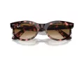 Ray-Ban Wayfarer Oval Solbriller RB 2242 133451