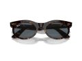 Ray-Ban Wayfarer Oval Solbriller RB 2242 902/R5