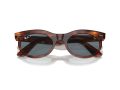 Ray-Ban Wayfarer Oval Solbriller RB 2242 954/3R