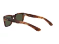 Ray-Ban Caribbean Solbriller RB 2248 954/31