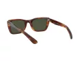 Ray-Ban Caribbean Solbriller RB 2248 954/31