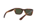 Ray-Ban Caribbean Solbriller RB 2248 954/31