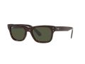 Ray-Ban Mr Burbank Solbriller RB 2283 902/31