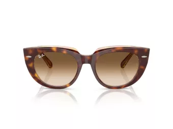 Ray-Ban Doreen Solbriller RB 2286 141451