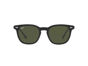 Ray-Ban Hawkeye Solbriller RB 2298 901/31