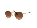 Ray-Ban Round Metal Solbriller RB 3447 9001/A5