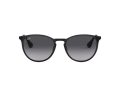 Ray-Ban Erika Metal Solbriller RB 3539 002/8G
