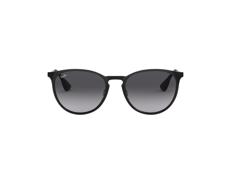 Ray-Ban Erika Metal Solbriller RB 3539 002/8G