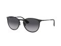 Ray-Ban Erika Metal Solbriller RB 3539 002/8G