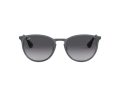 Ray-Ban Erika Metal Solbriller RB 3539 192/8G