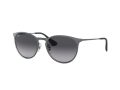 Ray-Ban Erika Metal Solbriller RB 3539 192/8G