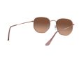 Ray-Ban Hexagonal Solbriller RB 3548N 9069/A5