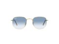 Ray-Ban Hexagonal Solbriller RB 3548 001/3F