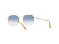 Ray-Ban Hexagonal Solbriller RB 3548 001/3F