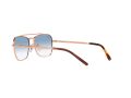 Ray-Ban New Caravan Solbriller 3636 92023F