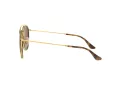 Ray-Ban Solbriller RB 3647N 001/57