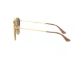 Ray-Ban Solbriller RB 3647N 001/7O