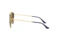 Ray-Ban Solbriller RB 3647N 001/9U