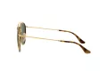 Ray-Ban Solbriller 3647N 001