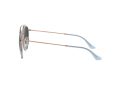 Ray-Ban Solbriller RB 3647N 9067/71