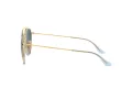 Ray-Ban Solbriller RB 3647N 9123/3M