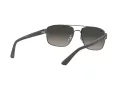 Ray-Ban Solbriller 3663 004/71