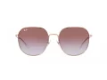 Ray-Ban Solbriller RB 3680D 9202I8
