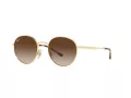 Ray-Ban Solbriller RB 3681 001/13