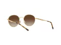 Ray-Ban Solbriller RB 3681 001/13