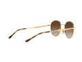 Ray-Ban Solbriller RB 3681 001/13