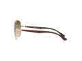 Ray-Ban Solbriller RB 3683 001/51