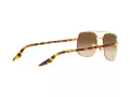 Ray-Ban Solbriller RB 3699 001/51
