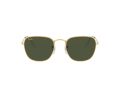 Ray-Ban Frank Solbriller RB 3857 9196/31