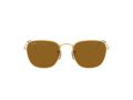 Ray-Ban Frank Solbriller RB 3857 9196/33