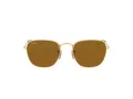 Ray-Ban Frank Solbriller RB 3857 9196/33