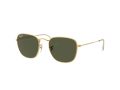 Ray-Ban Frank Solbriller RB 3857 9196/58