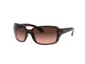 Ray-Ban Rb4068 Solbriller RB 4068 642/A5