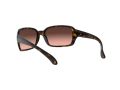 Ray-Ban Rb4068 Solbriller RB 4068 642/A5
