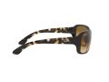 Ray-Ban Rb4068 Solbriller RB 4068 710/51