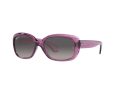 Ray-Ban Jackie Ohh Solbriller RB 4101 6591/M3