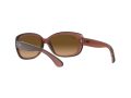 Ray-Ban Jackie Ohh Solbriller RB 4101 6593/M2