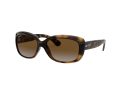 Ray-Ban Jackie Ohh Solbriller RB 4101 710/T5