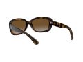 Ray-Ban Jackie Ohh Solbriller RB 4101 710/T5