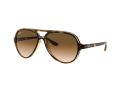 Ray-Ban Cats 5000 Solbriller RB 4125 710/51