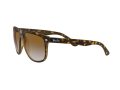 Ray-Ban Boyfriend Solbriller RB 4147 710/51