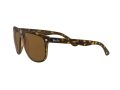 Ray-Ban Boyfriend Solbriller RB 4147 710/57