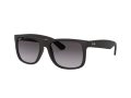 Ray-Ban Justin Solbriller 4165 601/8G