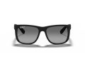 Ray-Ban Justin Solbriller 4165 622/T3